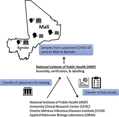 A Coordinated Public Health Laboratory Response to COVID-19 in Mali